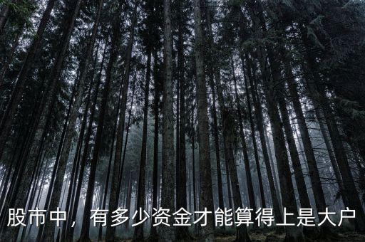 股市中，有多少資金才能算得上是大戶