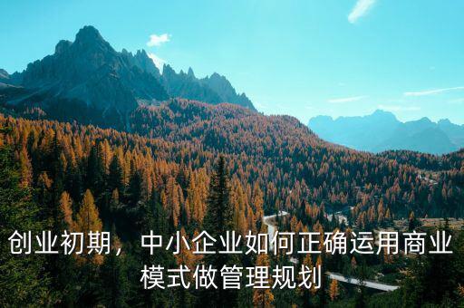 創(chuàng)業(yè)初期，中小企業(yè)如何正確運(yùn)用商業(yè)模式做管理規(guī)劃