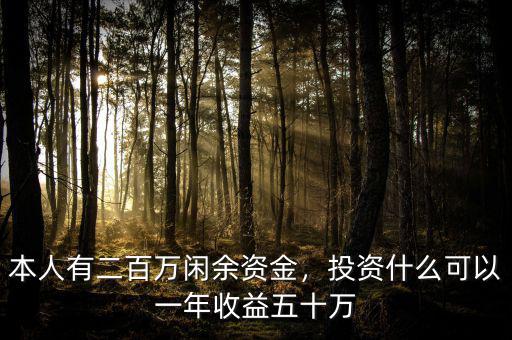 本人有二百萬閑余資金，投資什么可以一年收益五十萬