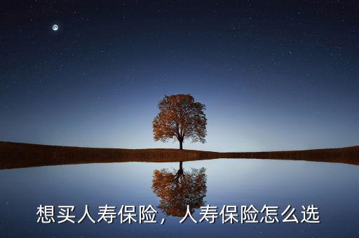 怎么買(mǎi)人壽保險(xiǎn),人壽保險(xiǎn)怎么選