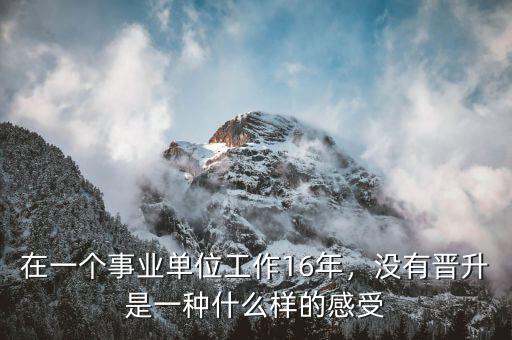 在一個(gè)事業(yè)單位工作16年，沒有晉升是一種什么樣的感受