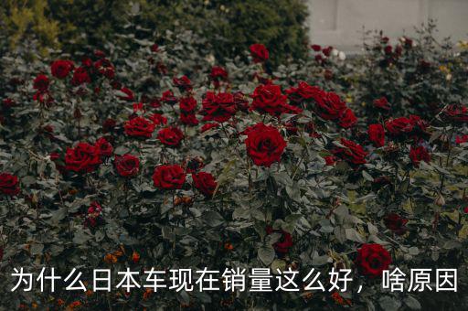 為什么日本車現(xiàn)在銷量這么好，啥原因