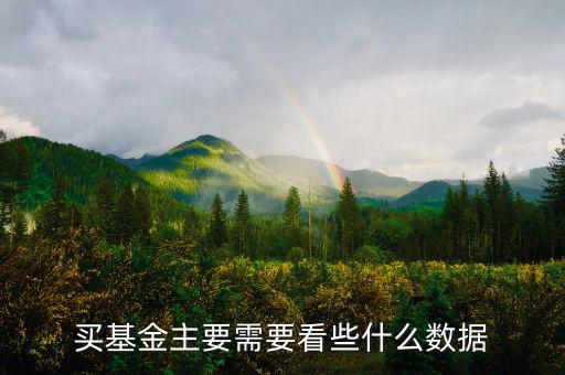 買(mǎi)基金主要需要看些什么數(shù)據(jù)