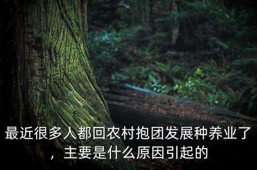最近很多人都回農(nóng)村抱團(tuán)發(fā)展種養(yǎng)業(yè)了，主要是什么原因引起的