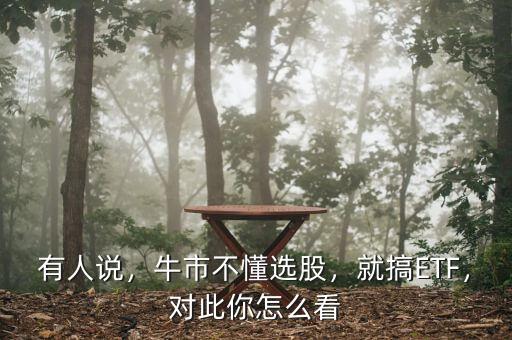 有人說，牛市不懂選股，就搞ETF，對此你怎么看
