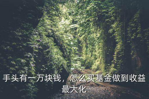 手頭有一萬塊錢，怎么買基金做到收益最大化
