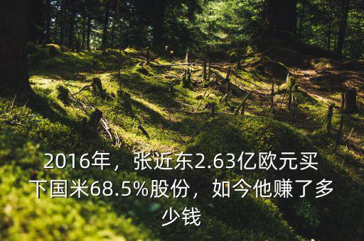 2016年，張近東2.63億歐元買下國米68.5%股份，如今他賺了多少錢