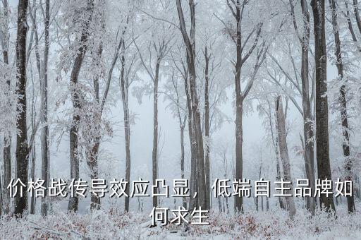 價(jià)格戰(zhàn)傳導(dǎo)效應(yīng)凸顯，低端自主品牌如何求生