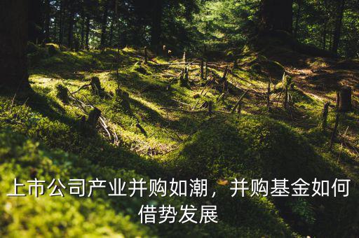 上市公司產(chǎn)業(yè)并購如潮，并購基金如何借勢發(fā)展