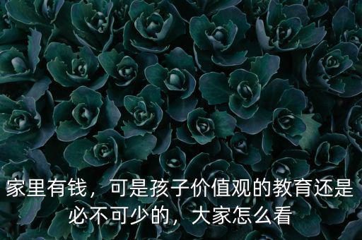 家里有錢，可是孩子價值觀的教育還是必不可少的，大家怎么看