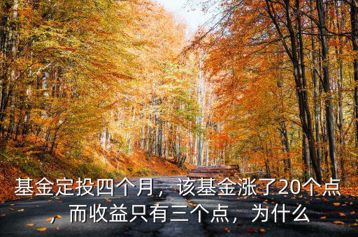 基金定投四個月，該基金漲了20個點(diǎn)，而收益只有三個點(diǎn)，為什么