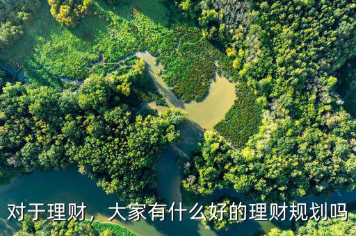 對(duì)于理財(cái)，大家有什么好的理財(cái)規(guī)劃嗎