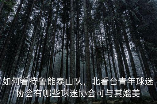 如何看待魯能泰山隊，北看臺青年球迷協(xié)會有哪些球迷協(xié)會可與其媲美