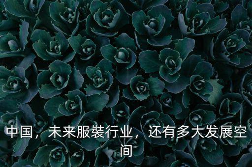 中國，未來服裝行業(yè)，還有多大發(fā)展空間