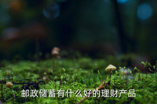 現(xiàn)在有什么好的理財(cái)產(chǎn)品,有閑錢(qián)買什么理財(cái)產(chǎn)品好