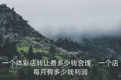 一個體彩店轉讓費多少錢合理，一個店每月有多少錢利潤