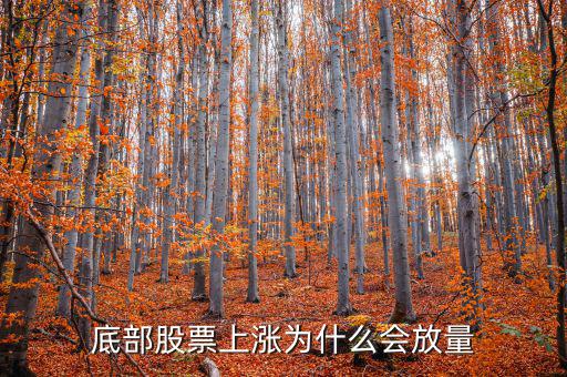 水務股票為什么大漲,為什么股市還會大漲