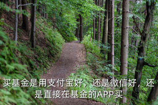 買基金是用支付寶好，還是微信好，還是直接在基金的APP買