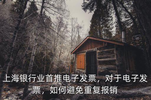 上海銀行業(yè)首推電子發(fā)票，對于電子發(fā)票，如何避免重復(fù)報銷