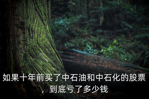如果十年前買(mǎi)了中石油和中石化的股票，到底虧了多少錢(qián)