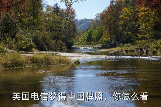 英國電信獲得中國牌照，你怎么看