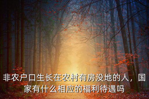 非農(nóng)戶口生長(zhǎng)在農(nóng)村有房沒地的人，國(guó)家有什么相應(yīng)的福利待遇嗎