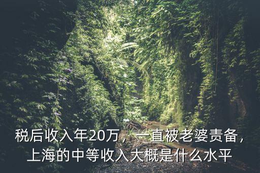 稅后收入年20萬，一直被老婆責備，上海的中等收入大概是什么水平