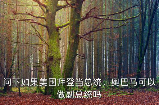 問下如果美國拜登當(dāng)總統(tǒng)，奧巴馬可以做副總統(tǒng)嗎