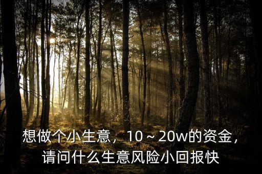 想做個(gè)小生意，10～20w的資金，請(qǐng)問什么生意風(fēng)險(xiǎn)小回報(bào)快