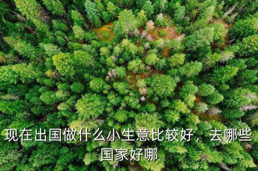 現(xiàn)在出國(guó)做什么小生意比較好，去哪些國(guó)家好哪