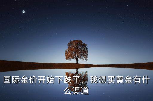 國(guó)際金價(jià)開(kāi)始下跌了，我想買黃金有什么渠道