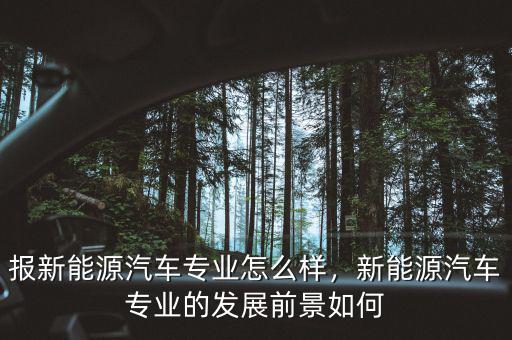 報新能源汽車專業(yè)怎么樣，新能源汽車專業(yè)的發(fā)展前景如何