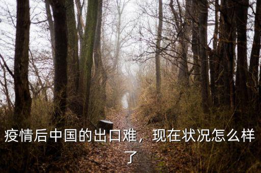 疫情后中國(guó)的出口難，現(xiàn)在狀況怎么樣了