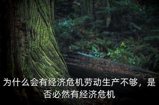 為什么會有經(jīng)濟(jì)危機(jī)勞動生產(chǎn)不夠，是否必然有經(jīng)濟(jì)危機(jī)