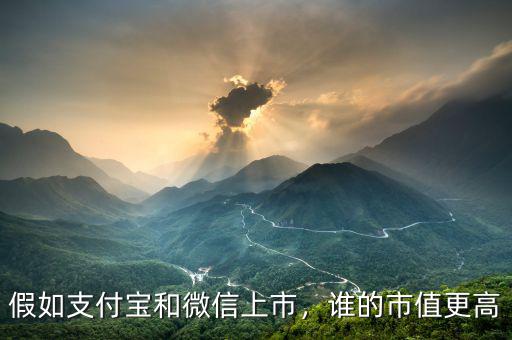 假如支付寶和微信上市，誰的市值更高