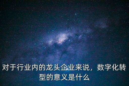 對于行業(yè)內的龍頭企業(yè)來說，數字化轉型的意義是什么