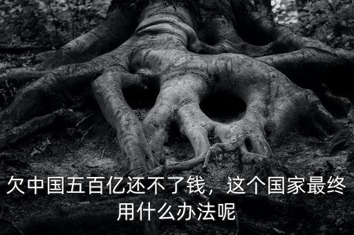 欠中國五百億還不了錢，這個國家最終用什么辦法呢
