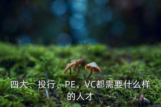 四大、投行、PE、VC都需要什么樣的人才