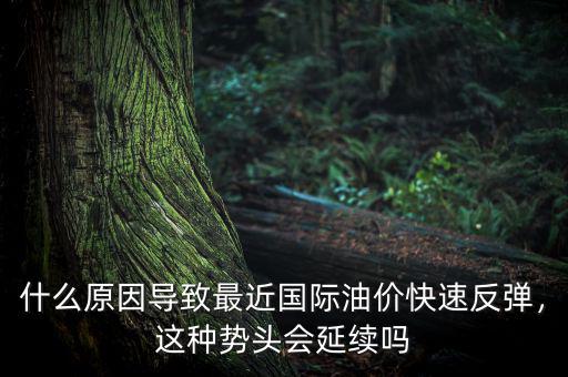 什么原因?qū)е伦罱鼑?guó)際油價(jià)快速反彈，這種勢(shì)頭會(huì)延續(xù)嗎