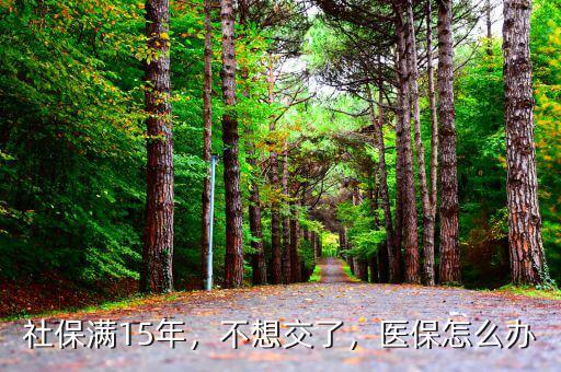 社保滿15年，不想交了，醫(yī)保怎么辦