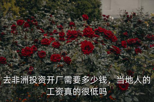 去非洲投資開(kāi)廠需要多少錢，當(dāng)?shù)厝说墓べY真的很低嗎