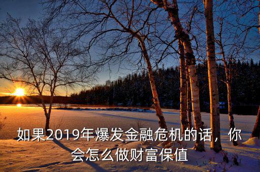 如果2019年爆發(fā)金融危機的話，你會怎么做財富保值
