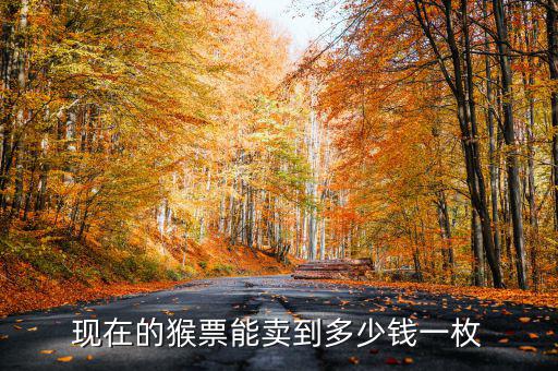 第四輪猴票現在多少錢,80年四方聯(lián)猴票現在多少錢