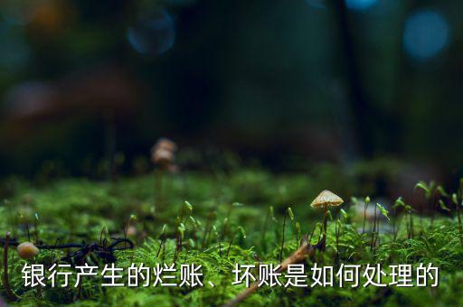 銀行產(chǎn)生的爛賬、壞賬是如何處理的