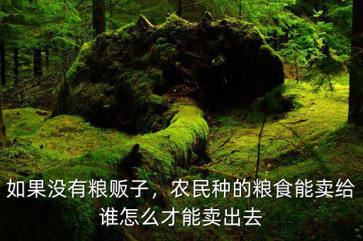 如果沒有糧販子，農(nóng)民種的糧食能賣給誰怎么才能賣出去