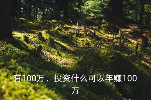 有100萬，投資什么可以年賺100萬