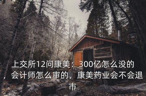 上交所12問康美：300億怎么沒的，會(huì)計(jì)師怎么審的，康美藥業(yè)會(huì)不會(huì)退市