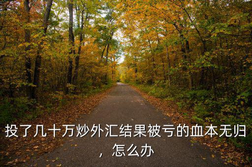 投了幾十萬(wàn)炒外匯結(jié)果被虧的血本無(wú)歸，怎么辦