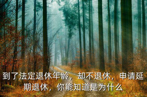 到了法定退休年齡，卻不退休，申請延期退休，你能知道是為什么