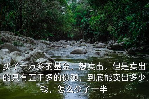 買了一萬多的基金，想賣出，但是賣出的只有五千多的份額，到底能賣出多少錢，怎么少了一半